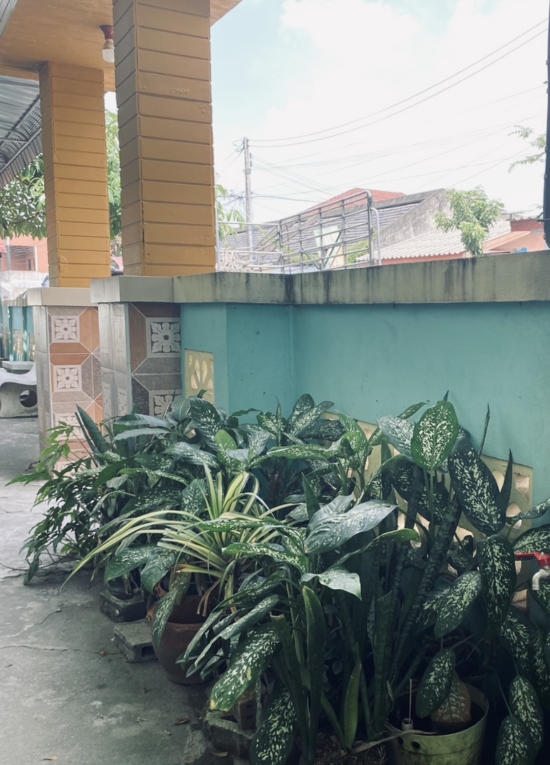 มัสยิดอัล-ตักวา